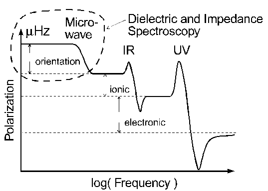 frequency-dependent polarisation